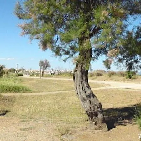 Apartment Neptuna Joli T2 Proche Roquille Cap D'agde Agde